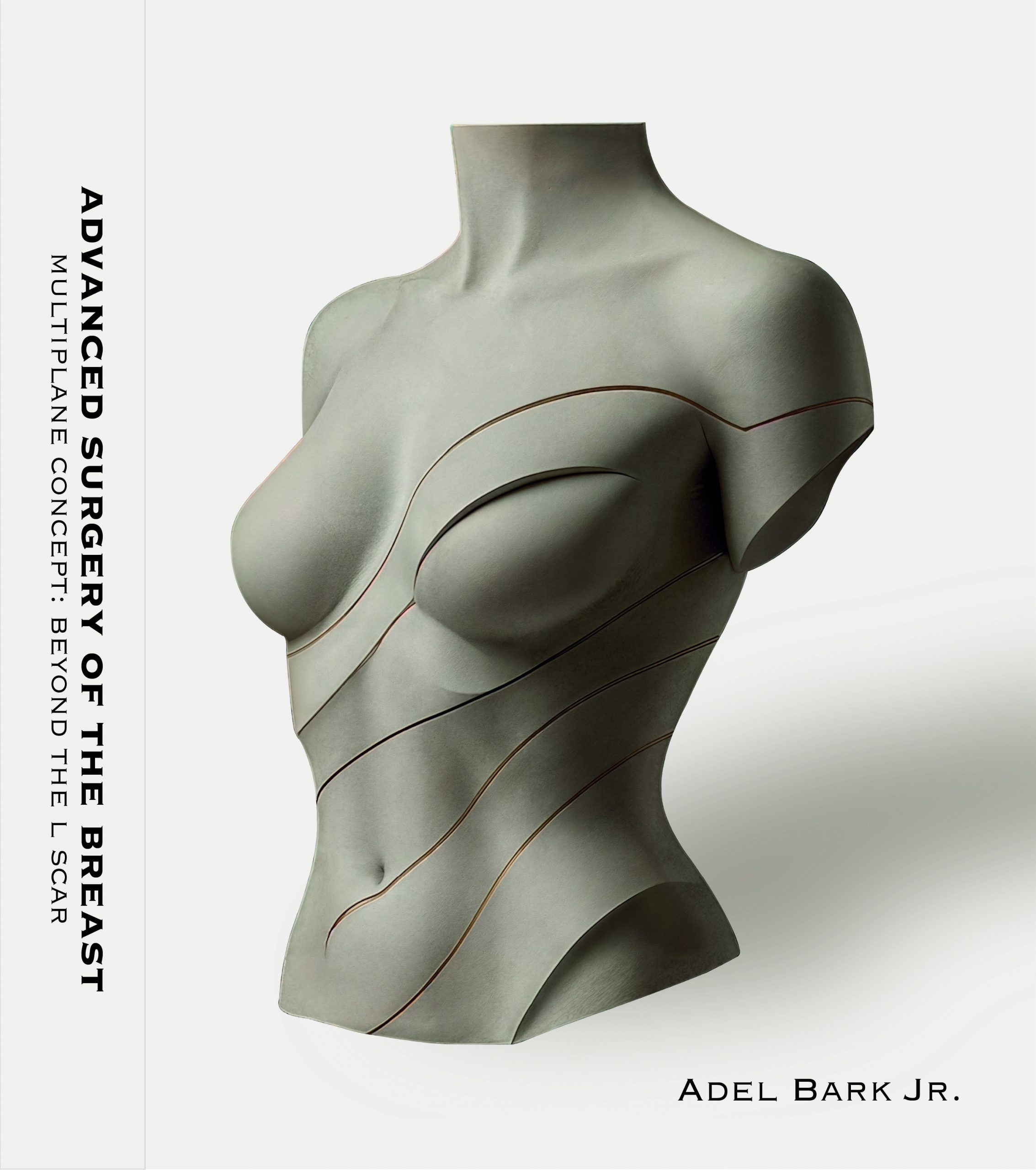 Advanced Surgery of the Breast — Multiplane Concept: Beyond the L Scar